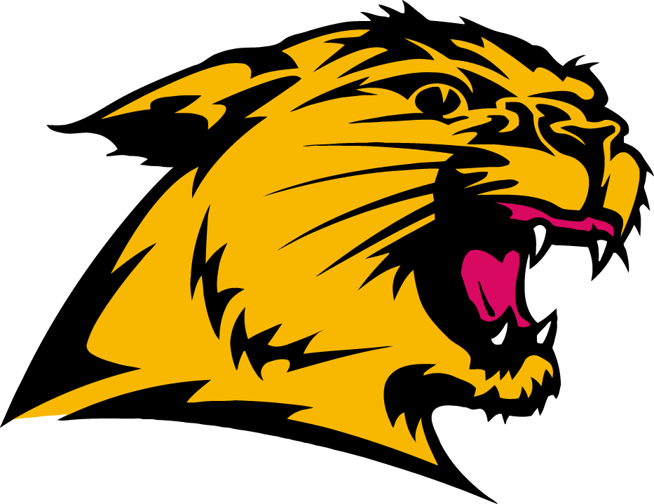 Northern Michigan Wildcats 1993-2015 Secondary Logo DIY iron on transfer (heat transfer)